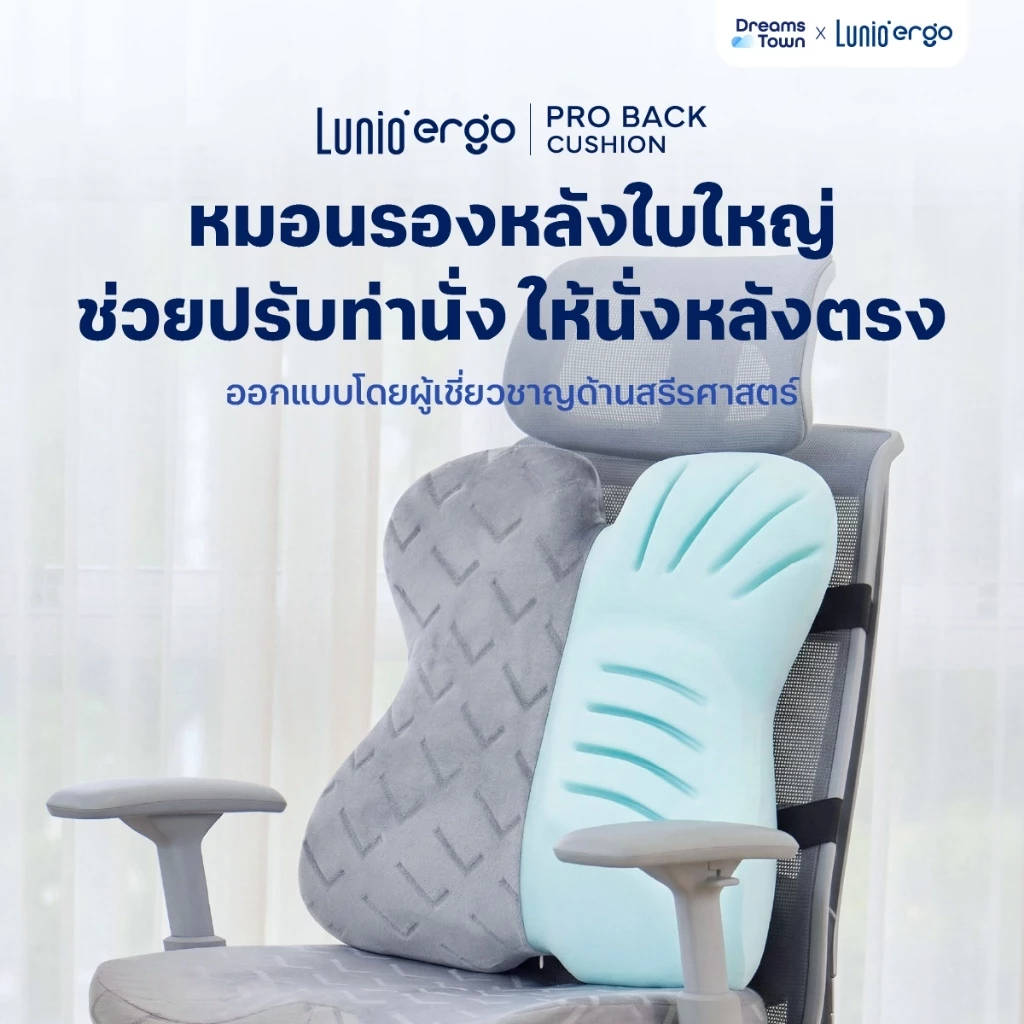 Lunio Ergo เบาะรองหลัง ใบใหญ่รองรับเต็มแผ่นหลัง ช่วยปรับท่านั่งให้หลังตรง ลดอาการออฟฟิศซินโดรม รุ่น Pro Back Cushion