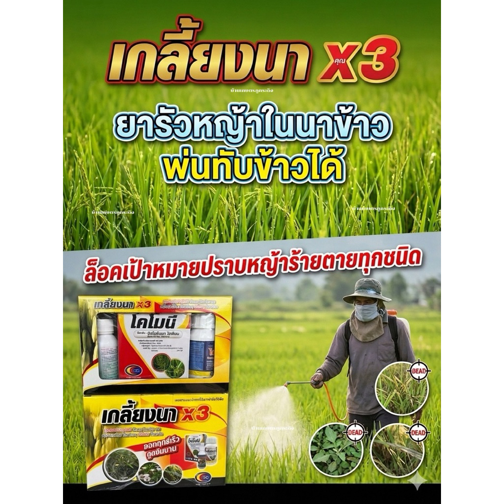 เกลี้ยงนา ยารัวหญ้าในนาข้าวปราบหญ้าร้ายตายทุกชนิด
