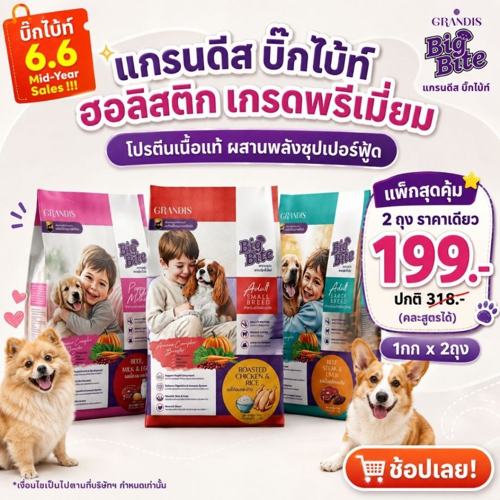 [สุดคุ้ม 2ถุง รับฟรี 100ก x2ถุง] อาหารสุนัข แกรนดีส บิ๊กไบ้ท์ ฮอลิสติก [1กก] ลูกสุนัข/ สนัขโตพันธุ์เล็ก-ใหญ่