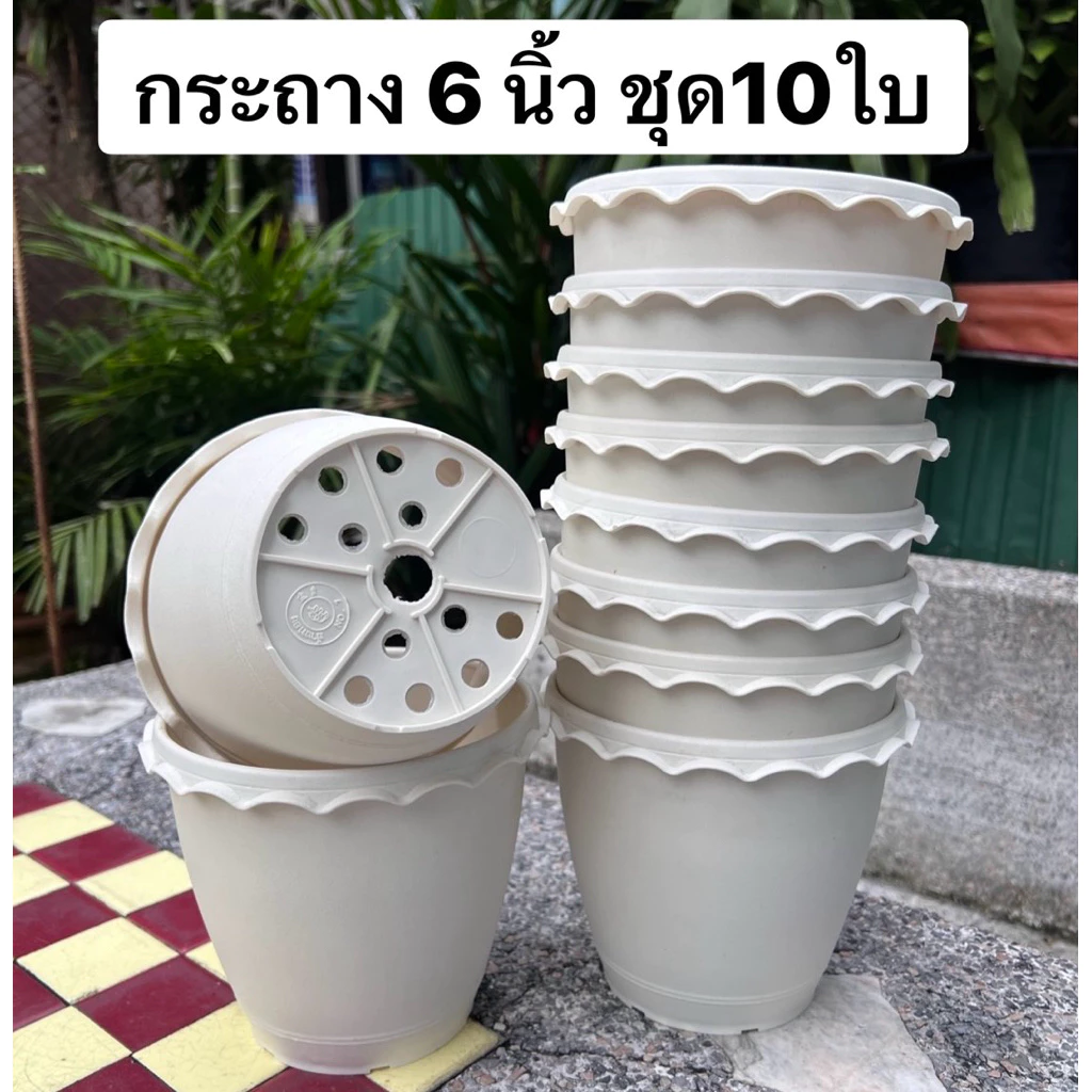 กระถางพลาสติกสีขาว กระถางต้นไม้ 6 นิ้ว ชุด10ใบ