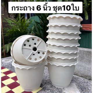 กระถางพลาสติกสีขาว กระถางต้นไม้ 6 นิ้ว ชุด10ใบ