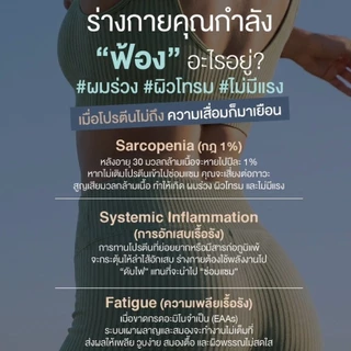 WellHarbour เซ็ท 3 กระปุก Pea Protein โปรตีนพืช โปรตีนแพลนท์ Pea Protein Complex [แถมแก้ว Shake]