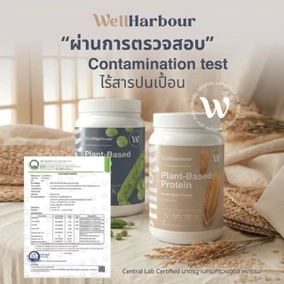 WellHarbour เซ็ท 3 กระปุก Pea Protein โปรตีนพืช โปรตีนแพลนท์ Pea Protein Complex [แถมแก้ว Shake]