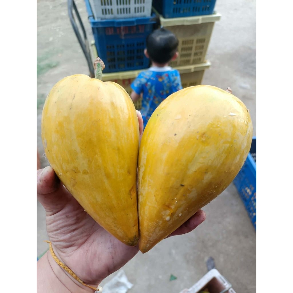 เซียนท้อ/ม่อนไข่ กล่อง 2 โล
