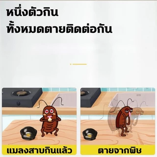 💥ฤทธิ์ยาอยู่ได้นานถึง 1 ปี💥บ้านแมลงสาบ นำเข้าจากญี่ปุ่น 18 อัน ดักแมลงสาบ ไม่มีกลิ่น กับดักแมลงสาบ กำจัดแมลงสาบ