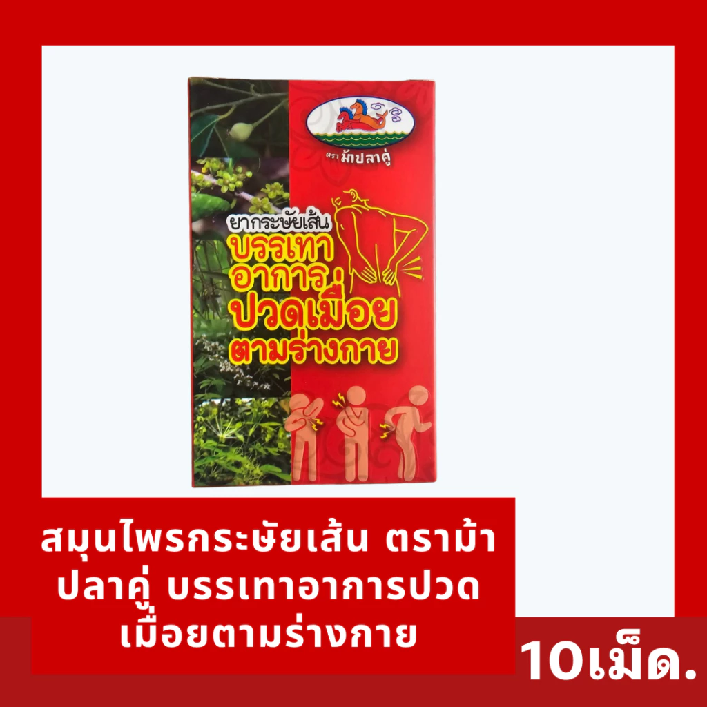 [พร้อมส่ง] สมุนไพรกระษัยเส้น ตราม้าปลาคู่ บรรเทาอาการปวดเมื่อยตามร่างกาย 10เม็ด