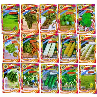เมล็ดผัก [10 แถม 4] เมล็ดผักตราสี่ทิศ เมล็ดผักสวนครัว ผักบุ้ง ข้าวโพด มะเขือ คอส ผักชี พริก