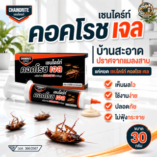 (ของแท้ มี อย.) เชนไดร้ท์ คอคโรช เจล 30 G. | เหยื่อกำจัดแมลงสาบถึงรัง ใช้งานง่าย เห็นผลต่อเนื่อง