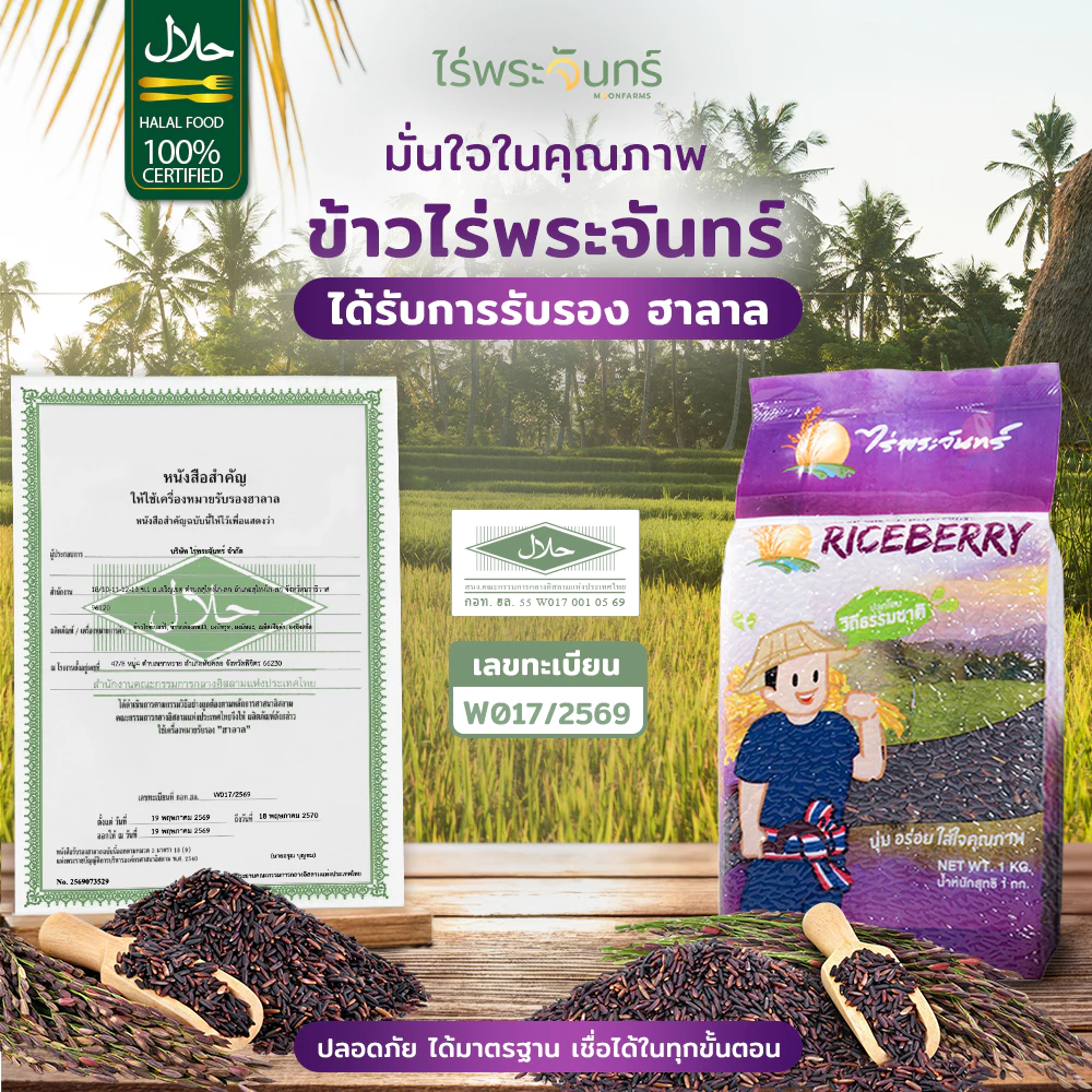 ข้าวไรซ์เบอร์รี่ คัดพิเศษ ปลอดสาร ไร่พระจันทร์ Riceberry thumbnail 9