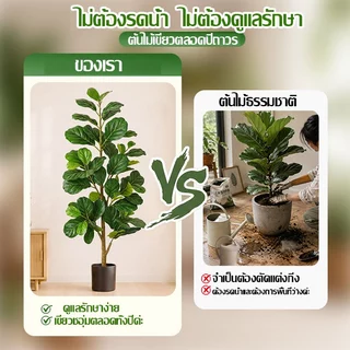 【2026 รุ่นใหม่ ความจำลอง99%】 ต้นไม้ปลอม ต้นไม้ปลอมใหญ่ 120- 2กิ่ง/160-3กิ่ง/180cm-4กิ่ง สำหรับตกแต่งบ้านและสว