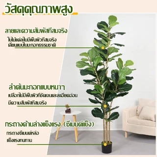 【2026 รุ่นใหม่ ความจำลอง99%】 ต้นไม้ปลอม ต้นไม้ปลอมใหญ่ 120- 2กิ่ง/160-3กิ่ง/180cm-4กิ่ง สำหรับตกแต่งบ้านและสว