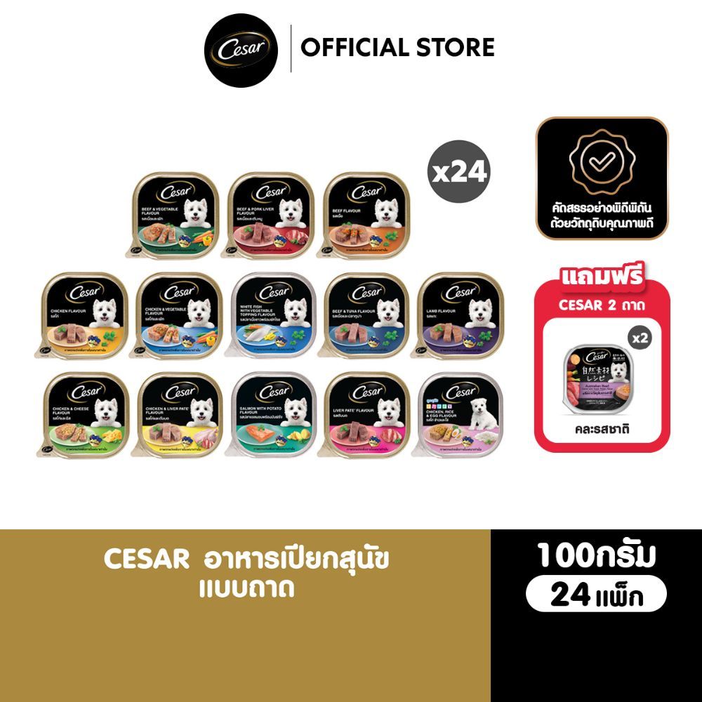 CESAR อาหารเปียกสุนัข แบบถาด ทุกรสชาติ 100 ก. (24 แพ็ก )