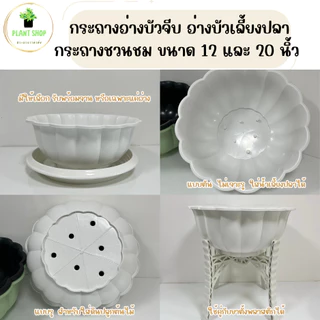อ่างบัวจีบ อ่างบัวเลี้ยงปลา กระถางชวนชม พลาสติกอย่างดี ขนาด 12 และ 20 นิ้ว