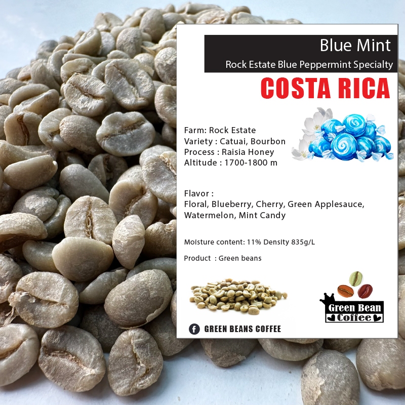 สารเมล็ดกาแฟดิบ COSTA RICA BLUE MINT " Green bean ขนาด 1,000 กรัม "
