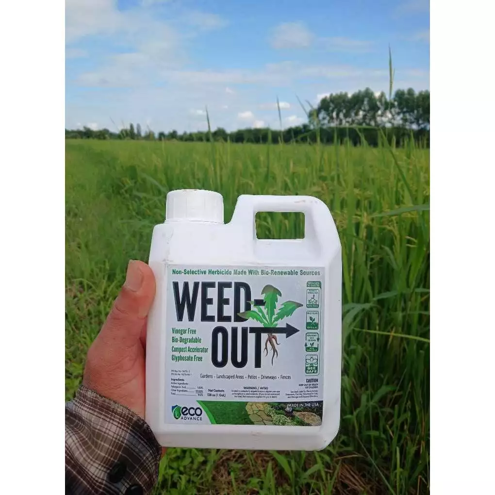 🌿 WEEDOUT กำจัดหญ้าครบวงจร ขนาด 1,000ml. ส่งฟรี ของแท้ ตัวจบทุกปัญหาหญ้ารก ช่วยให้แปลงสะอาดพร้อมสร้างผลผลิต ของเเท้