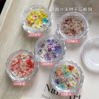 ดอกไม้แห้งญี่ปุ่นแต่งเล็บ🌸พร้อมส่งมีให้เลือก5แบบ🌸ดอกไม้แห้งสไตล์ญี่ปุ่นแต่งเล็บ