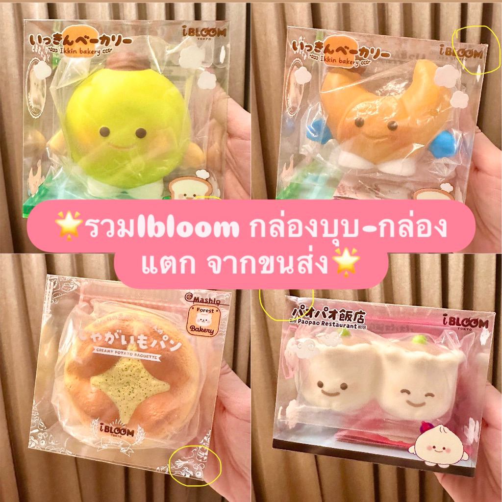 🌟รวมIbloom ใหม่มือ1 กล่องบุบ-แตกจากขนส่ง🌟