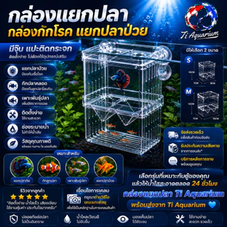กล่องแยกปลา ติดกระจกด้านในตู้ปลา ด้วยจุ๊บยางใช้แยกปลาป่วย ปลาที่ต้องการดูแลเป็นพิเศษ
