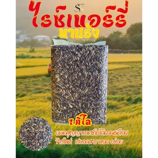 ตราทรัพย์ธนา ข้าวไรซ์เบอร์รี่นาปรัง แพคสุญญากาศ1kg. อิ่มนาน ไฟเบอร์สูง
