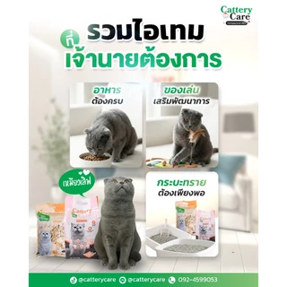 โปรลด 25% Cattery Care ทรายแมวกราฟีน สูตรเต้าหู้ กลิ่นหอมเบา ฝุ่นน้อยพิเศษ ขนาด 20 ลิตร
