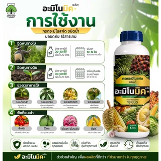 อะมิโนมิคพลัสตราเทพมงคล ขวด 1L แพ็ค 2 ขวด อาหารเสริมพืชทางใบชนิดน้ำ เร่งบำรุงพืชทุกชนิด สูตรออแกนิก