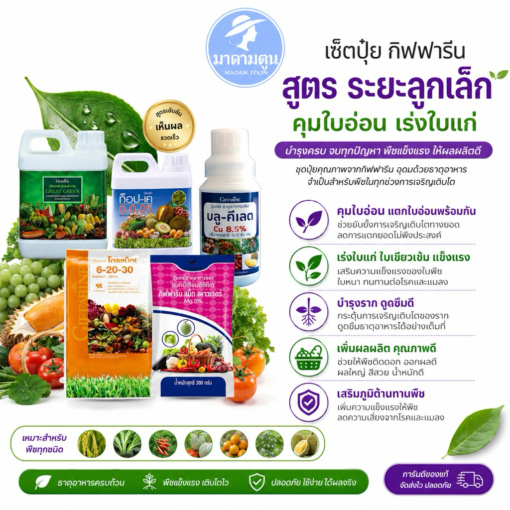 ปุ๋ย ปุ๋ยเกล็ด ปุ๋ยน้ำ กิฟฟารีน เกล็ดระยะลูกเล็ก แตกใบอ่อน คุมยอด เร่งใบแก่