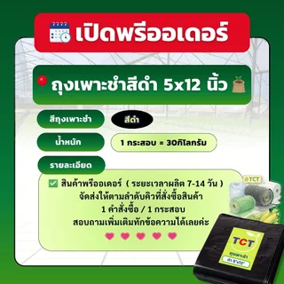 🌳 TCT ถุงเพาะชำ ( กระสอบ30กก.) 📌สินค้าพร้อมส่ง * ถุงเพาะกล้า ถุงเพาะเมล็ด ถุงปลูกต้นไม้ 💗 แบบเจาะรู หนา เหนียว ทนทาน