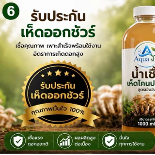 เชื้อเห็ดโคนปลวก สูตรเข้มข้น ขึ้นง่าย ออกไว ปลูกได้ทุกฤดู น้ำเชื้อเห็ดผสมฮอร์โมนเห็ดดอกใหญ่ ออกเยอะ โตไว เชื้อเห็ด เห็ด