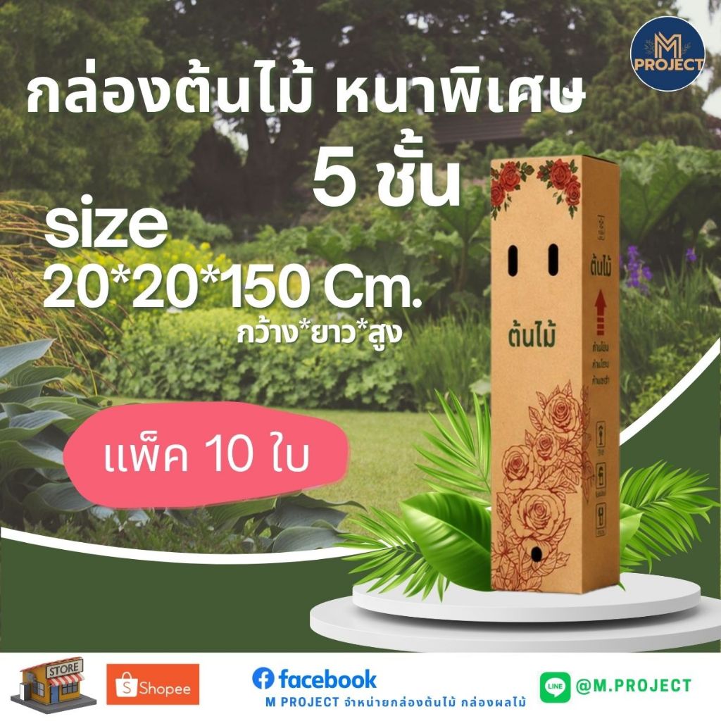 กล่องต้นไม้ ความหนา 5 ชั้น (ขนาด 20*20*150 Cm.) แพ็ค 10 ใบ ราคาพิเศษ และ จัดส่งออกทุกวัน