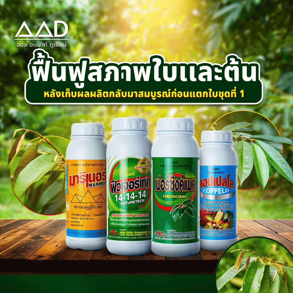 ชุดฟื้นฟูสภาพใบและต้น บำรุงใบพืชให้หนาเขียวดำเข้ม มาริเนอร์+ฟิวเจอร์เทค14-14-14+เฟอร์ซิงแมค+คอปเปลโล