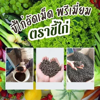 ขี้ไก่อัดเม็ด ตราขี้ไก่ ผลิตจากขี้ไก่สดแท้ 100% ขนาดถุงละ 12 กิโลกรัม