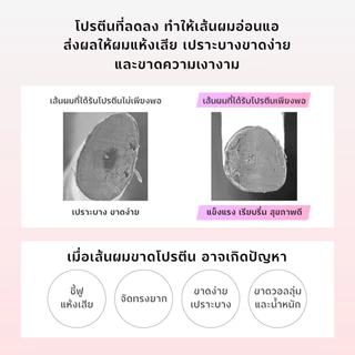ReFa MILK PROTEIN PINK SERIES รีฟา มิลค์ โปรตีน พิงค์ ซีรีส์