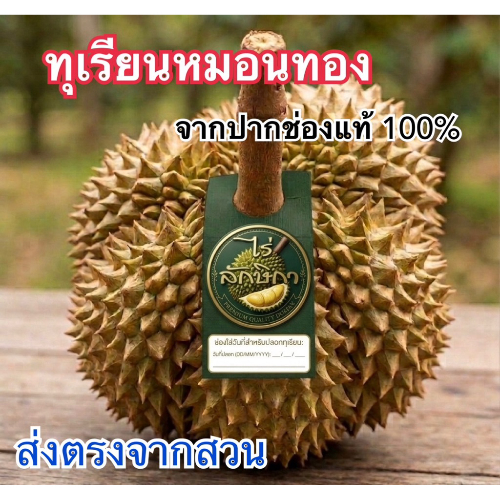 ทุเรียนหมอนทอง ปากช่องแท้100% กล่อง5Kg