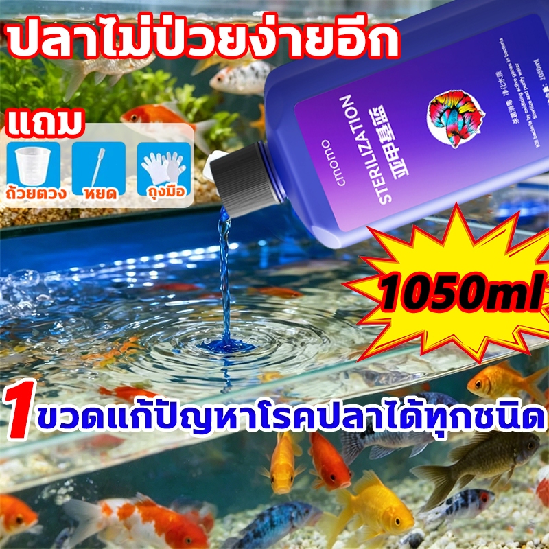 [ตัวเลือกที่ดีที่สุด] Methylene Blue 1050ml สามารถรักษาโรคปลานับร้อยชนิดได้ สำหรับปลาสวยงาม เมทาลีนบลู เมทิลีนบลู