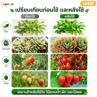 ไฟปลูกต้นไม้ LED 165W เลียนแบบ หลอดไฟทรงใบพัด ไฟ Grow Light เต็มสเปกตรัม E27 ไฟปลูกผัก สมุนไพร ไฟช่วยต้นไม้ตัวเร็ว