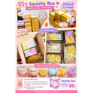 กล่องสุ่มสกุชชี่ Squishy Box | สกุชชี่สุ่ม 2-3 ชิ้น ลุ้นตัวใหญ่สุดคิ้วท์