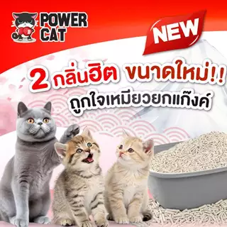 POWER CAT ทรายแมวเต้าหู้พาวเวอร์แคท จับก้อนแน่น ไร้ฝุ่น ควบคุมกลิ่นดีเยี่ยม 10L...