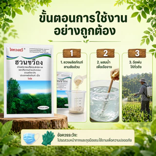 ยาฆ่าไผ่ ยาฆ่าหญ่ 500g ไม่ทำลายดิน รวดเร็ว ทนนาน ผงกำจัดต้นไม้ ผงกำจัดกอไผ่ ยาฆ่าตอ ไม้ ยาฆ่าไม่ไผ่ ยาฆ่าตอต้นไม้