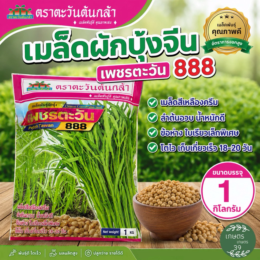 เมล็ดผักบุ้ง เพชรตะวัน888 ตราตะวันต้นกล้า ขนาด 1กิโลกรัม