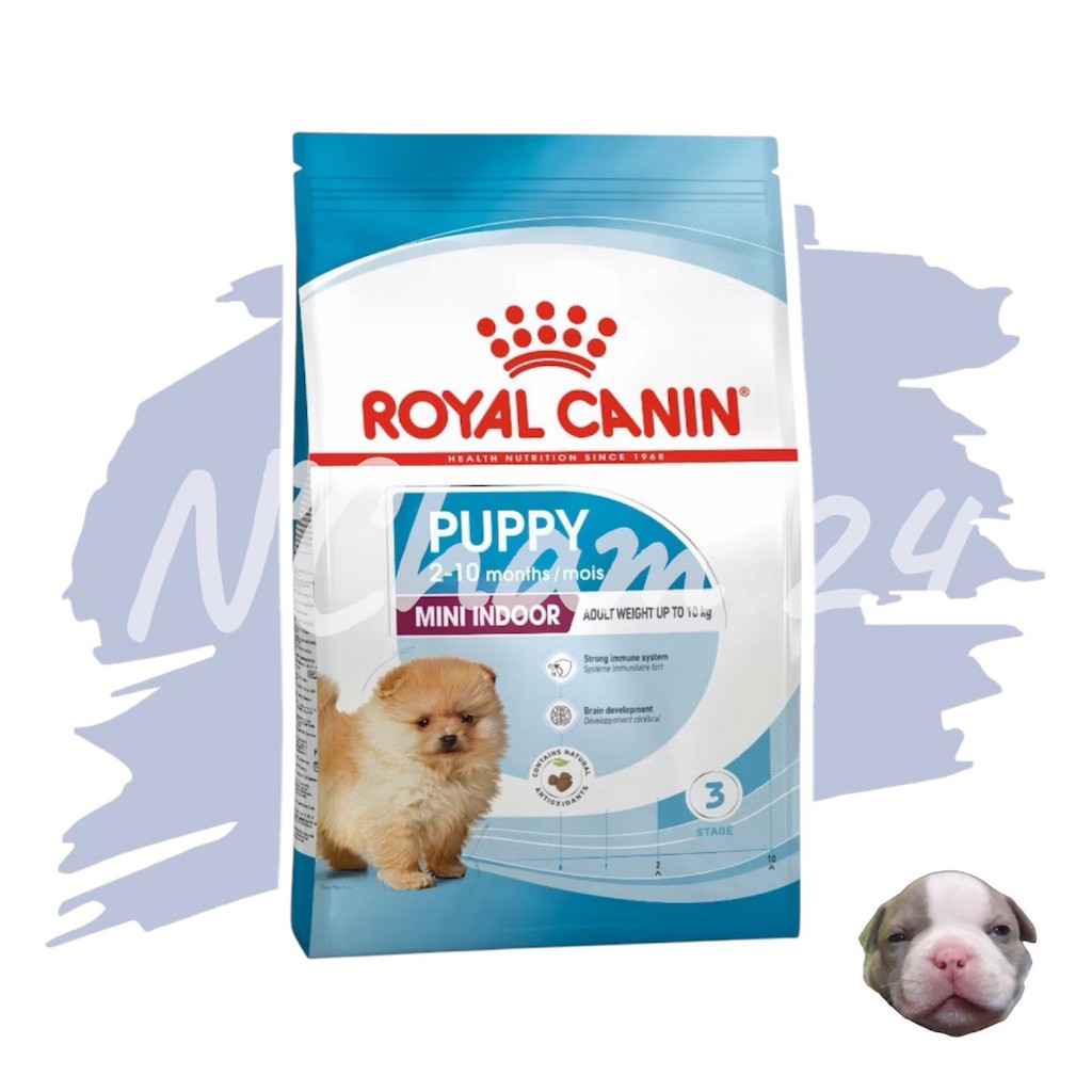 Royal canin Mini indoor adult 3 kg อาหารชนิดเม็ดสำหรับสุนัขโตพันธุ์เล็กที่เลี้ยงในบ้าน