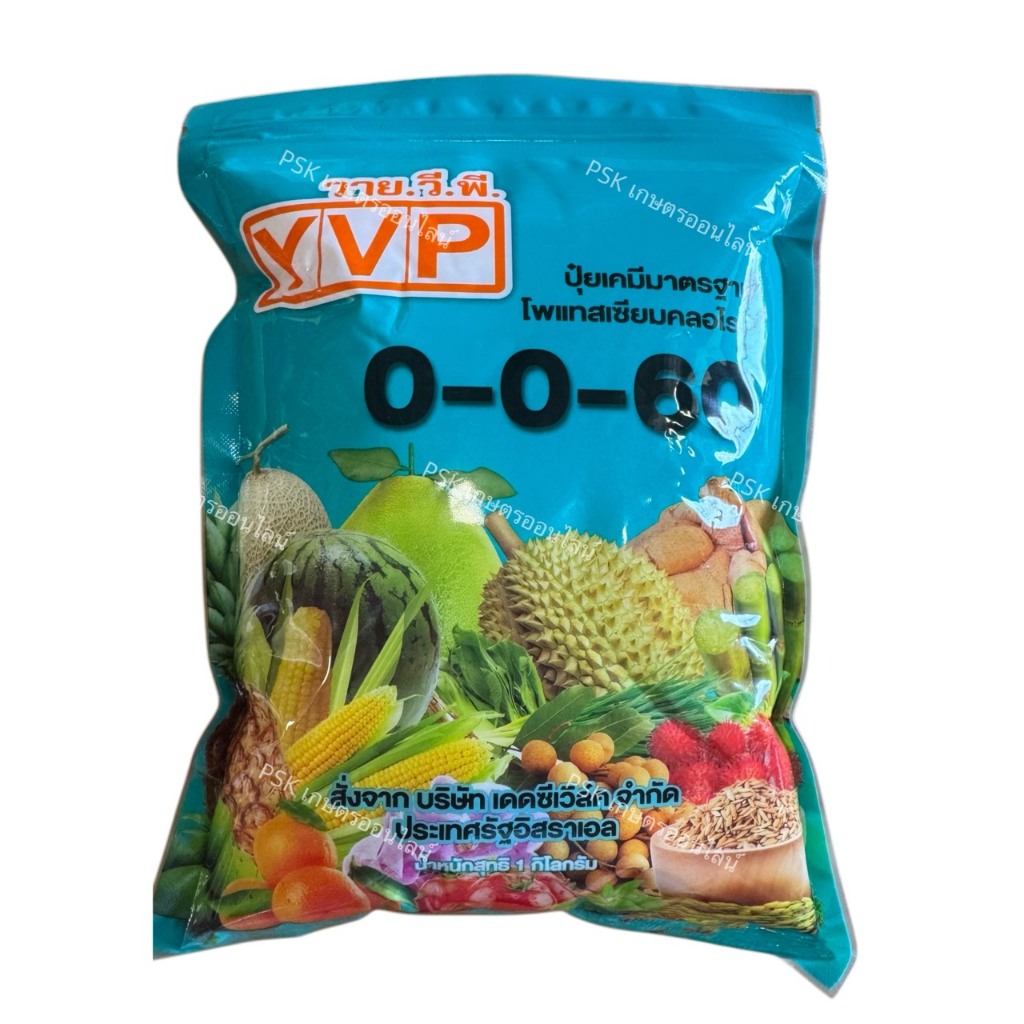 ปุ๋ยเกล็ดพ่นทางใบYVP สูตร 0-0-60 (1 กิโลกรัม) โพแทสเซียมคลอไรด์ เพิ่มขนาด เพิ่มน้ำหนัก เพิ่มความหวาน ขยายผล