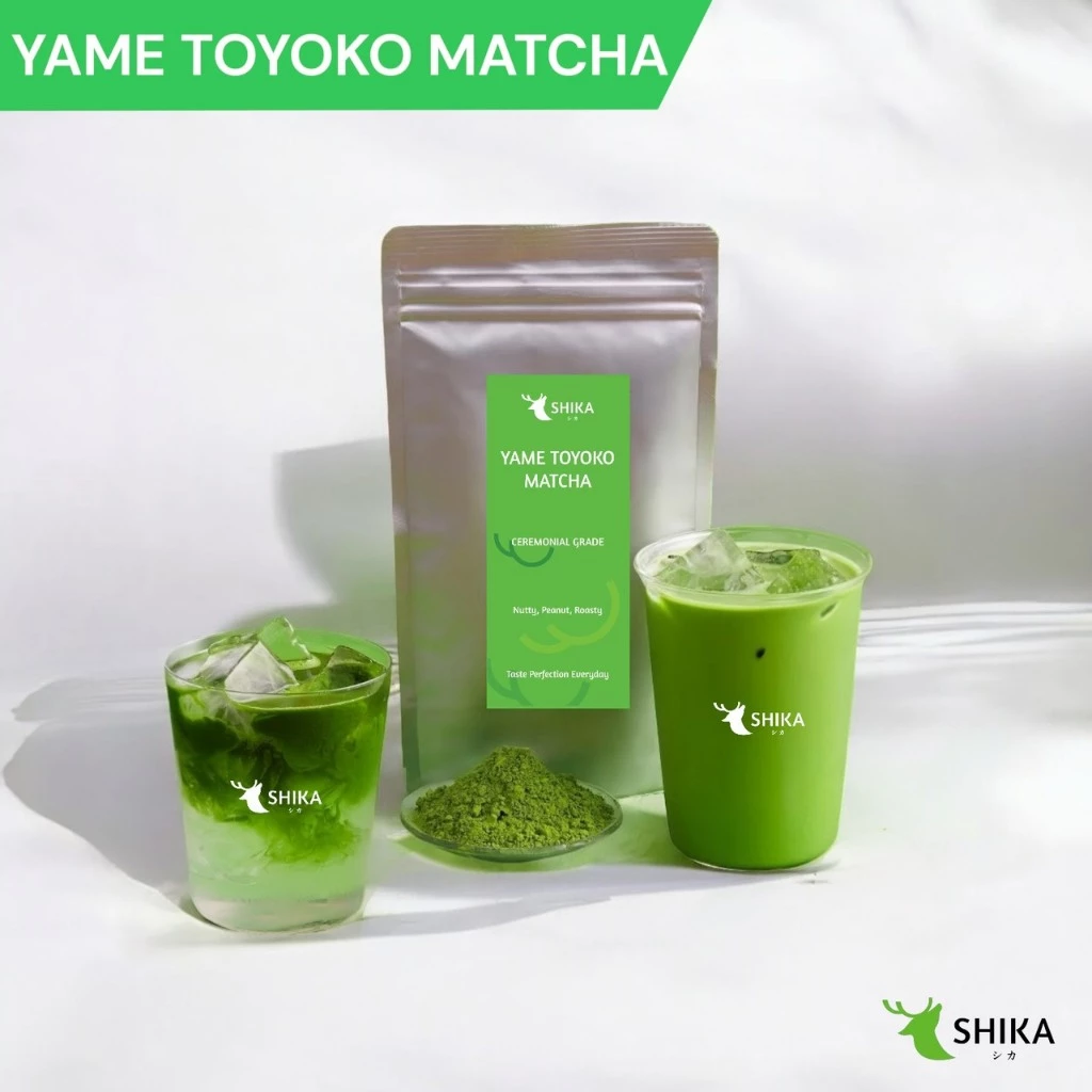SHIKA MATCHA | YAME TOYOKO CEREMONIAL MATCHA ยาเมะ โทโยโกะ เกรดพิธีการ มัทฉะ 🌱 ผงมัทฉะแท้ 100%
