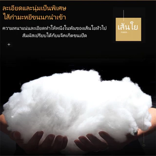 หมอนยางพารา 3D เพื่อสุขภาพ ระบายอากาศดี รองรับต้นคอ ลดกรน หลับสบาย ไม่ยุบตัว หมอนสุขภาพพรีเมียม