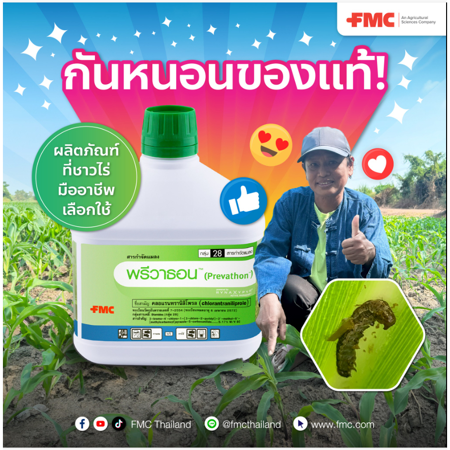 พรีวาธอน 100ซีซี คลอแรนทรานิลิโพรล ป้องกันกำจัดหนอนกอ หนอนม้วนใบ หนอนเจาะ หนอนเจาะลำต้น หนอนกอในข้าว ดูปอง