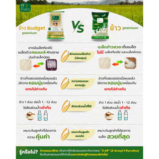 [[แพ็คคู่ 5กก.X 2 ถุง]] ข้าวหอมมะลิใหม่ ปี69 รวม 10 กก. "BUDGET PREMIUM" หอมมะลิแท้ ตรารีรีข้าวสาร