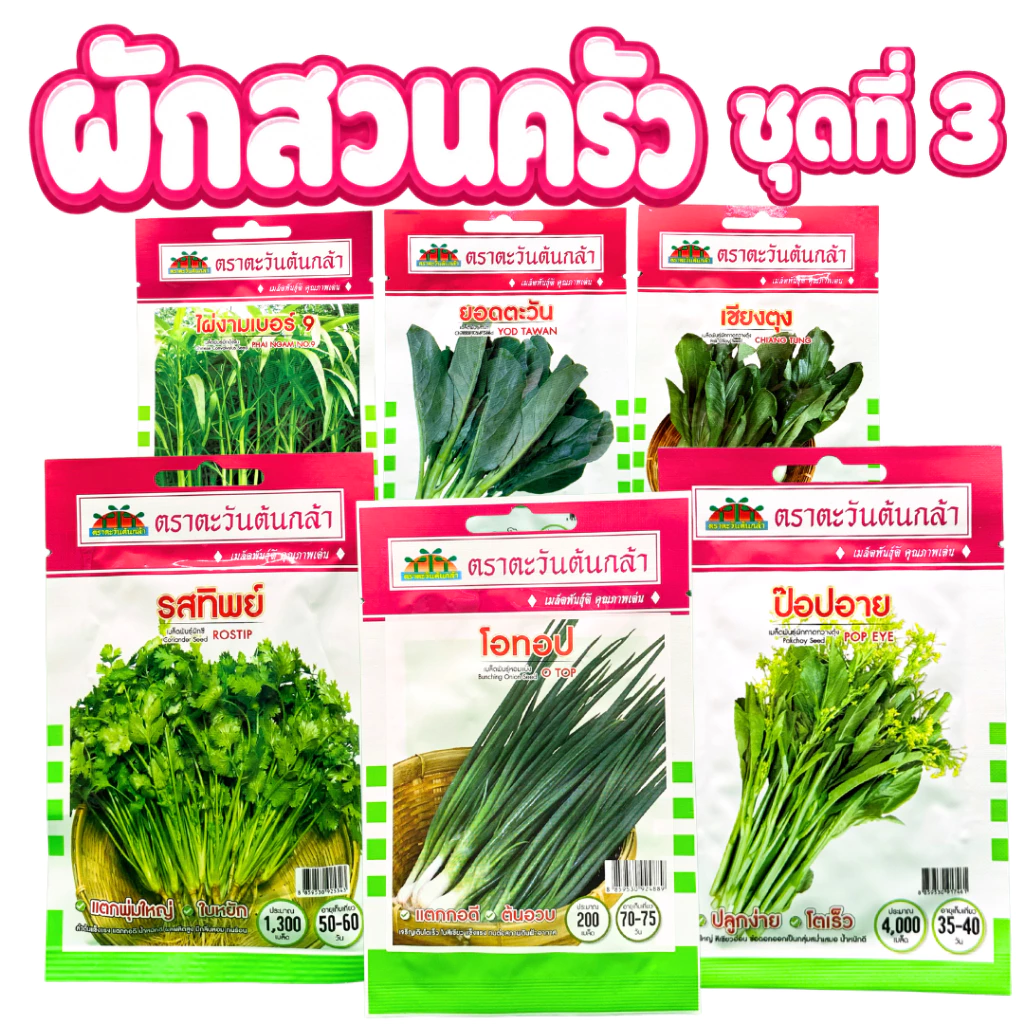 ผักสวนครัว (**รวมเมล็ดชุดที่3**) เมล็ดผักสวนครัว กะเพรา กะหล่ำ ผักชี คะน้า ต้นหอม ผักกาด กวางตุ้ง