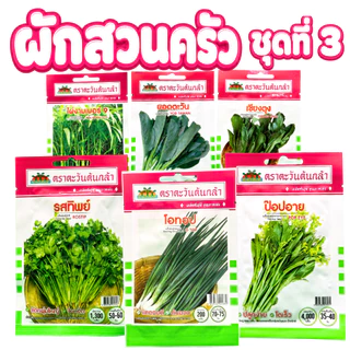 ผักสวนครัว (**รวมเมล็ดชุดที่3**) เมล็ดผักสวนครัว กะเพรา กะหล่ำ ผักชี คะน้า ต้นหอม ผักกาด กวางตุ้ง