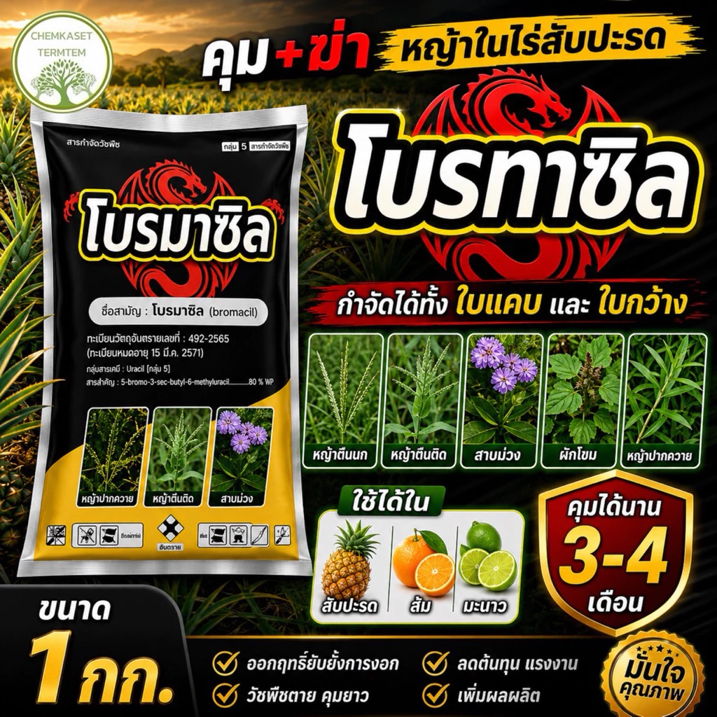☘️โบรมาซิล (bromacil) 80% WP ขนาด 1 กก กลุ่มสารเคมี Uracil [กลุ่ม C1] ✔️สารกําจัดวัชพืชในไร่สับปะรด