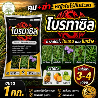 ☘️โบรมาซิล (bromacil) 80% WP ขนาด 1 กก กลุ่มสารเคมี Uracil [กลุ่ม C1] ✔️สารกําจัดวัชพืชในไร่สับปะรด