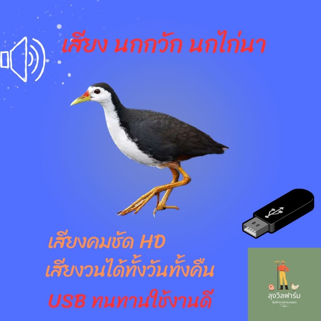 เสียงต่อ นกกวัก หรือ นกไก่นา เสียงวนได้ทั้งวัน ในเเฟรชไดร์ฟ (ต่อกลางวัน)